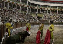 VINTAGE POSTCARD Sport Spain Bullfight Toro Bull the puntilla