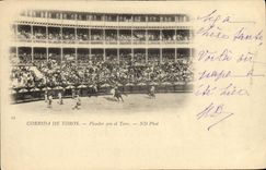 VINTAGE POSTCARD Sport Spain Bullfight Toro Bull Picaor idiot el Toro