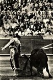 CPM Sport Espagne Corrida Toro Taureau Bernado Toreando de Muleta