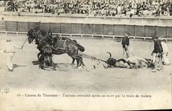 VINTAGE POSTCARD Sport Spain Corrida Toro Taureau involves after its death by the train of mules