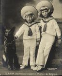 VINTAGE POSTCARD the princes leopold and Charles of Belgium Dog