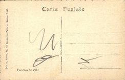 VINTAGE POSTCARD SA the queen of the Belgians