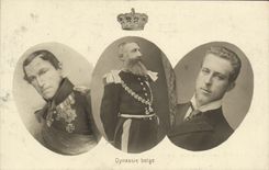 VINTAGE POSTCARD Belgian Dynasty Leopold Albert