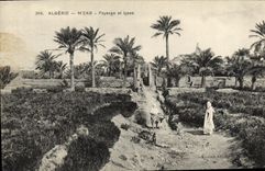 CPA Algerie M Zab Paysage et type 