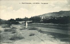VINTAGE POSTCARD Southern Algeria Oranian Ain Sefra View