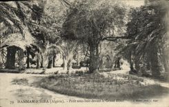 CPA Algerie Hamma R Hira Petit sous bois devant le grand hotel