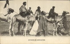 Alrededores de Argelia de la POSTAL de la VENDIMIA de los camellos de Constantina