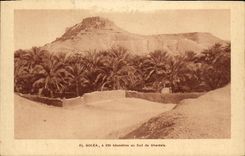 VINTAGE POSTCARD Algeria El Golea