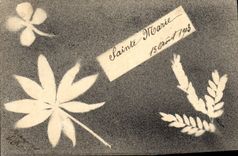 VINTAGE POSTCARD Sainte Marie Fluers