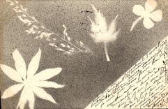 CPA Fantaisie Fleurs 