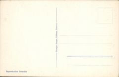 VINTAGE POSTCARD Swiss Island JJ Rousseau Mont Blanc