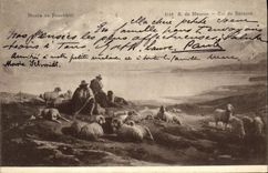 CPA Suisse Musee de Neuchatel Moutons Bergers 