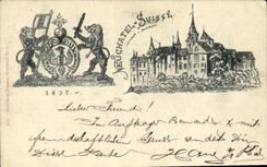 VINTAGE POSTCARD Swiss Neuchatel Lions