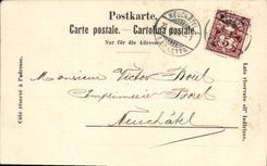 VINTAGE POSTCARD Swiss Neuchatel Lions