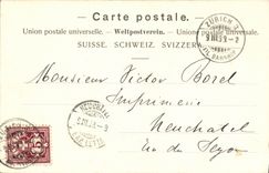 VINTAGE POSTCARD Swiss Zurrcih Waldhaus Dolder Chart 1899