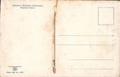 VINTAGE POSTCARD Swiss Artemisia Mutellina Edelraute Walliser Alepn