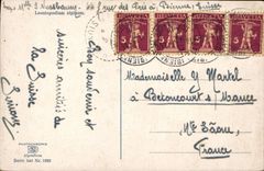 VINTAGE POSTCARD Swiss Leontopodium Alpinum