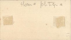 Image Felix pewter Henri Brisson