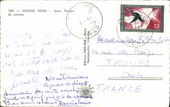 MODERN CARD Black Africa Young carrier of palms