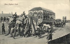 VINTAGE POSTCARD rewa Elephant Coach Ceyaln Sri Lanka