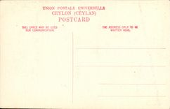 CPA Ceylon Elephants 