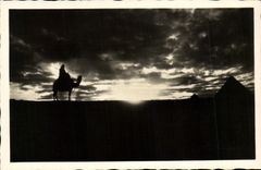 VINTAGE POSTCARD Egypt Giza