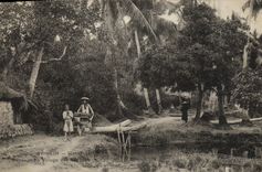 VINTAGE POSTCARD Tonkin Hanoi Landscape at the Village of the pigs