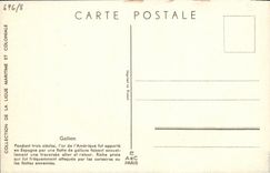 VINTAGE POSTCARD GalionHaffner Boat