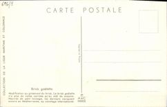 VINTAGE POSTCARD Boat Haffner Brig goelette