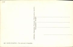 VINTAGE POSTCARD Bateau Dimensions Azure an Armor Of Squadron