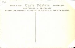 VINTAGE POSTCARD White De Castille