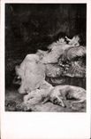 CPA Fantaisie Sarah Bernhardt Musee du petit Palais paris 