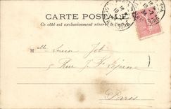 VINTAGE POSTCARD Paris Lived a machande of flowers lion of Belfort TOP