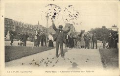 VINTAGE POSTCARD Paris Lived Charmer of birds to Tileries TOP