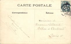 VINTAGE POSTCARD Paris Lived Charmer of birds to Tileries TOP