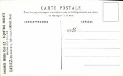 CPA Fantaisie Fleurs Cyclamens