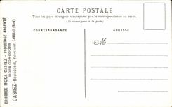 CPA Fantaisie Fleurs Anemones et oeillets