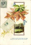 VINTAGE POSTCARD Fantasy Flowers Letter
