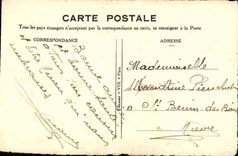 CPA Fantaisie Fleurs Trefles Fleurs sechees en tissu