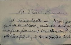 Flores de la fantasía de la POSTAL de la VENDIMIA (decoración con la mano)