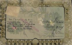 CPA Fantaisie Fleurs (decor a la main)