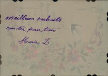 CPA Fantaisie Fleurs (decor a la main)