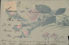 CPA Fantaisie Fleurs (decor a la main)