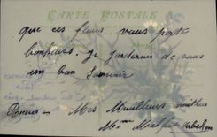 CPA Fantaisie Fleurs (decor a la main)