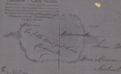 CPA Fantaisie Fleurs Paysage (medaillon en tissu)