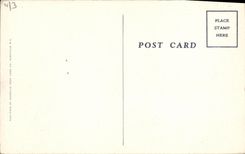 VINTAGE POSTCARD Militaria We are giving EM has big Wac Hitler