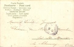 CPA Fantaisie Fleurs Brouette Hirondelles