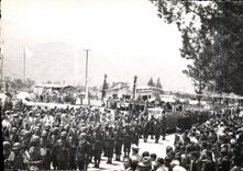 Ravelled Militaria phot