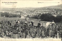 CPA Au pays du Champagne La vigne et le vin Epernay