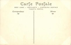 Estándar de la POSTAL de la VENDIMIA del folklore de la mujer de Mouliere